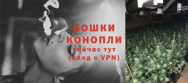 бутират Гусев