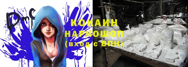 мет Дмитров