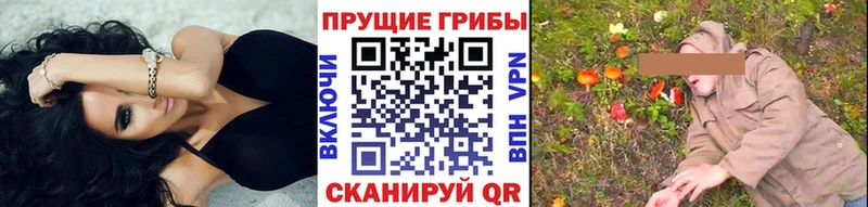 Галлюциногенные грибы Psilocybe  закладка  Зарайск 